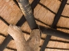 thatched-roof-support-3256
