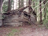 log-cabin-in-woods