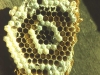 hive-detail