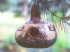 birdhouse-gourd-painted