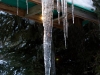 icicle-with-sunspot