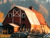 pioneer-peak-and-barn
