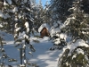 snowy-cabin