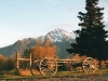 wagon-and-pioneer-peak