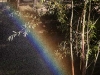 rainbow-in-sprinkler