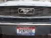 ford-mustang-coup-1966-pony-emblem